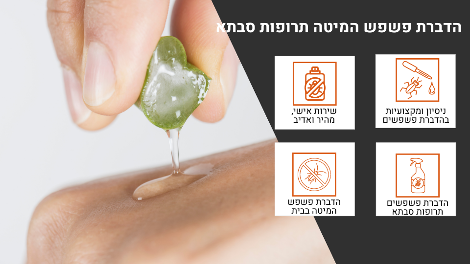 הדברת פשפש המיטה תרופות סבתא