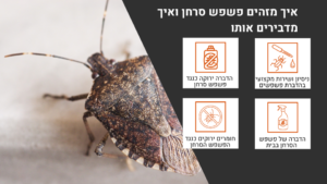 איך מזהים פשפש סרחן ואיך מדבירים אותו