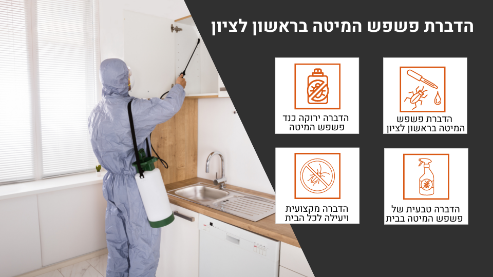 הדברת פשפש המיטה בראשון לציון