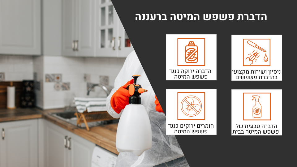 הדברת פשפש המיטה ברעננה