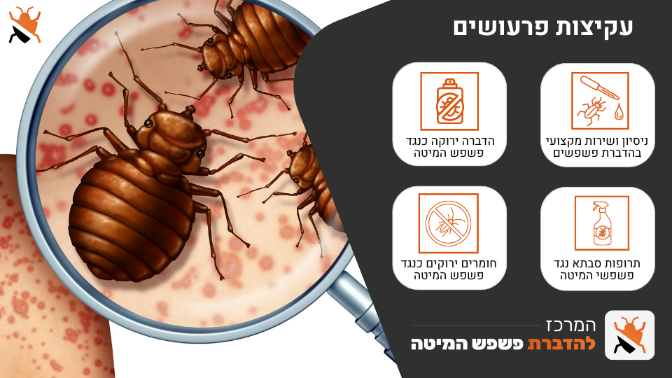 עקיצת פרעושים